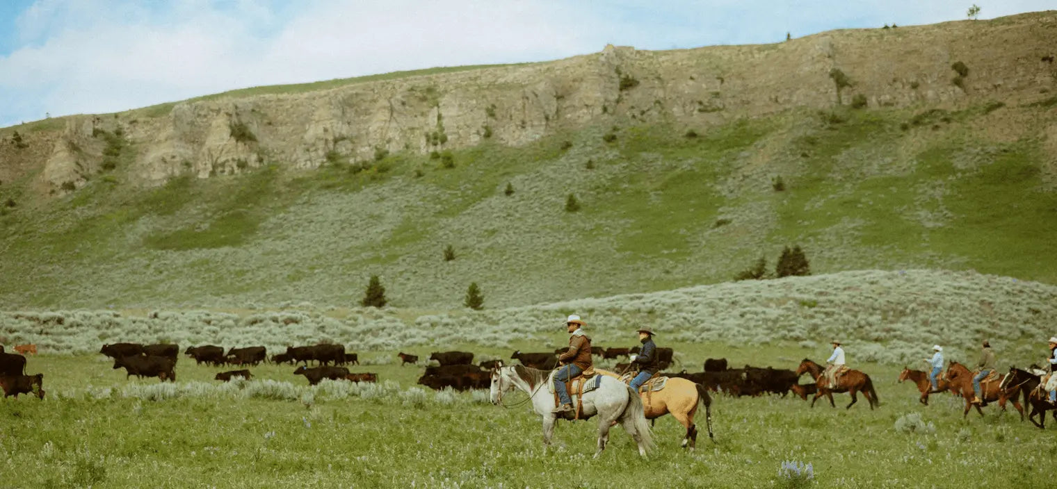 What is American Wagyu?