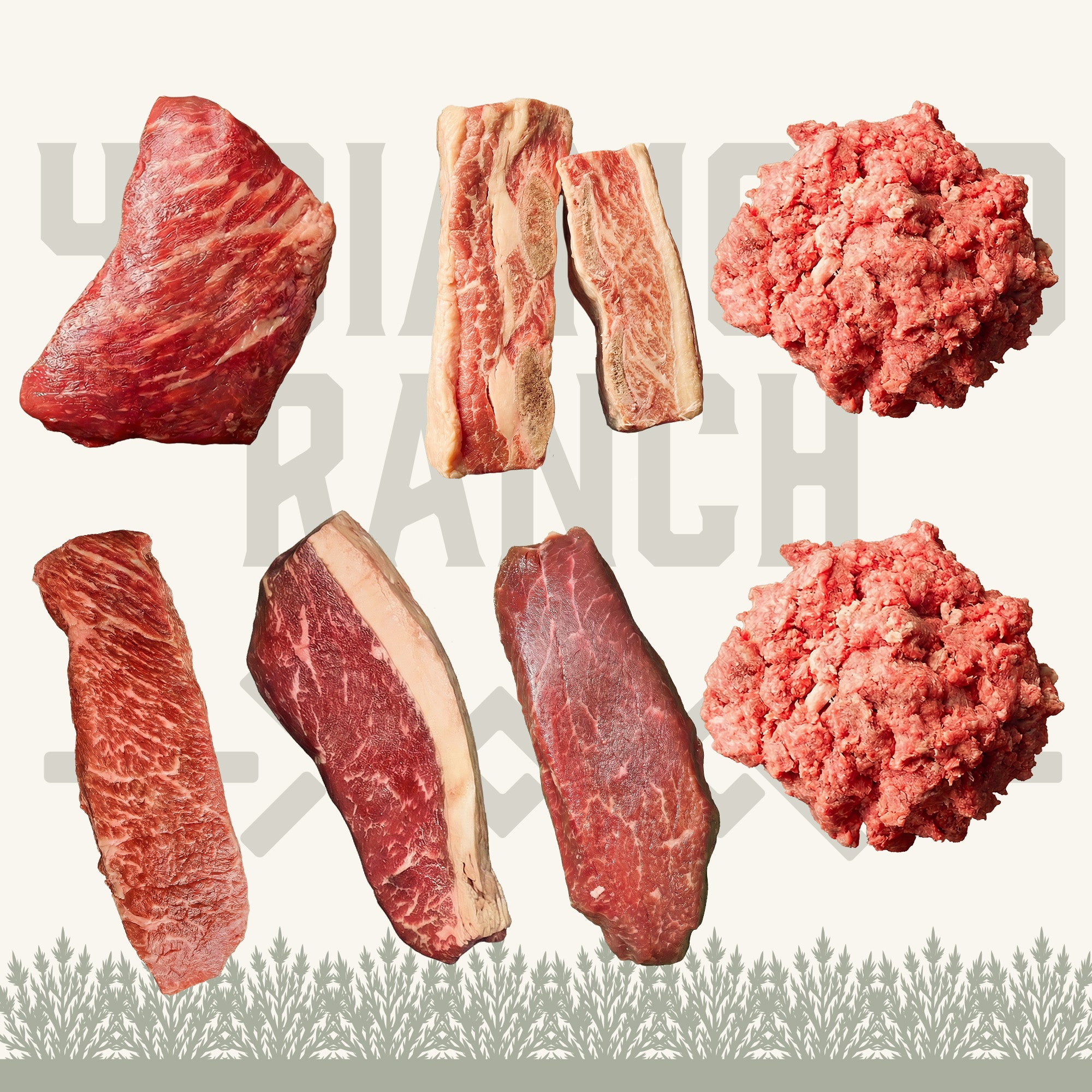 Everyday Wagyu Box